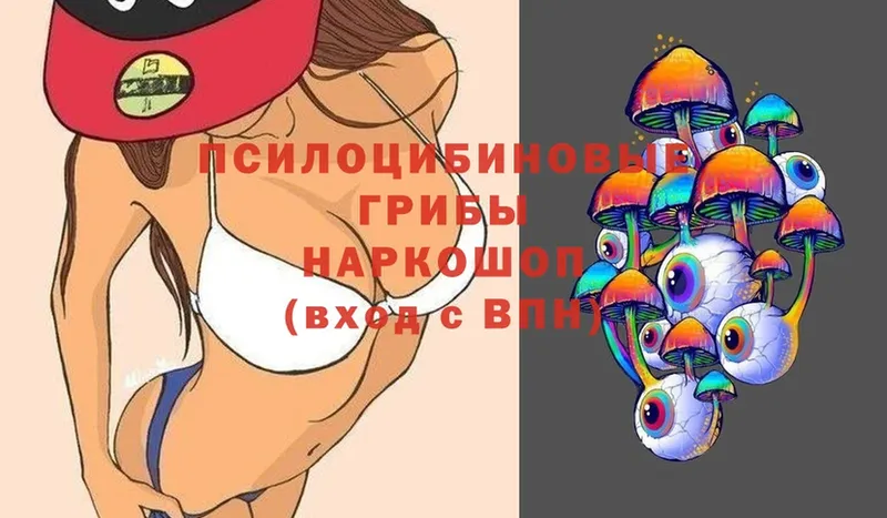 Псилоцибиновые грибы Psilocybine cubensis  хочу наркоту  MEGA ссылки  Карабулак 